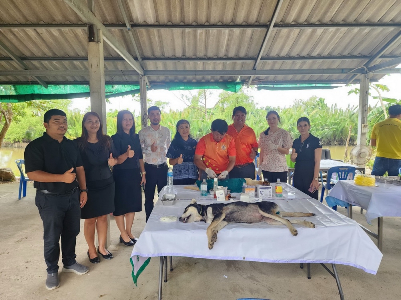 ปศุสัตว์จันทบุรี ร่วมกับเทศบาลเมืองเกาะขวาง ทำหมันควบคุมประชากรสุนัขจรจัด