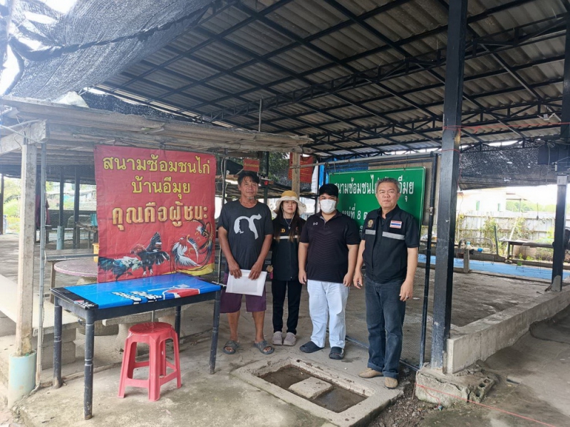 ปศุสัตว์อำเภอแหลมสิงห์ ลงพื้นที่ตรวจสนามซ้อมชนไก่