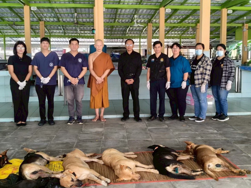 ปศุสัตว์จันทบุรีร่วมกับเทศบาลตำบลเขาบายศรี ให้บริการทำหมันสุนัขและแมว เพื่อลดประชากรสัตว์ ในสถานที่ท่องเที่ยว