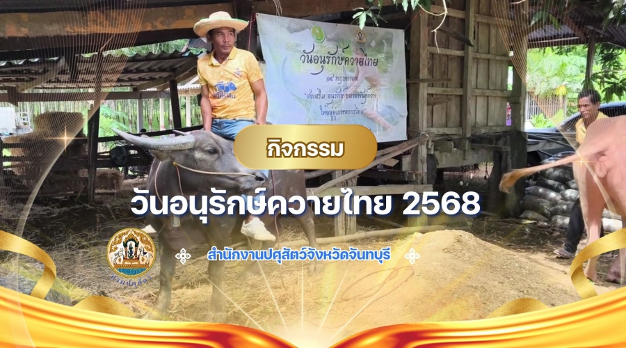 ปศุสัตว์จันทบุรี จัดกิจกรรมวันอนุรักษ์ควายไทย ประจำปี 2568  สร้างความตระหนักแก่เกษตรกรในการเลี้ยง ขยายพันธุ์ควายสายเลือดดี