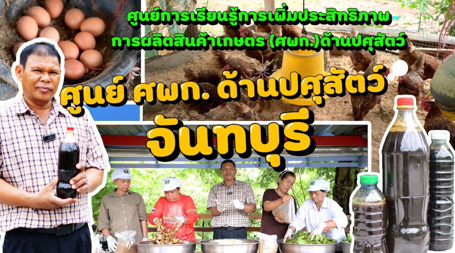 ศูนย์ ศพก. (ด้านปศุสัตว์) ดีเด่นระดับจังหวัด (นายชยานนท์ คงจำรูญ)