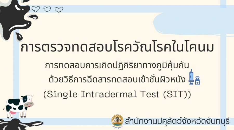 การตรวจทดสอบโรควัณโรคในโคนม