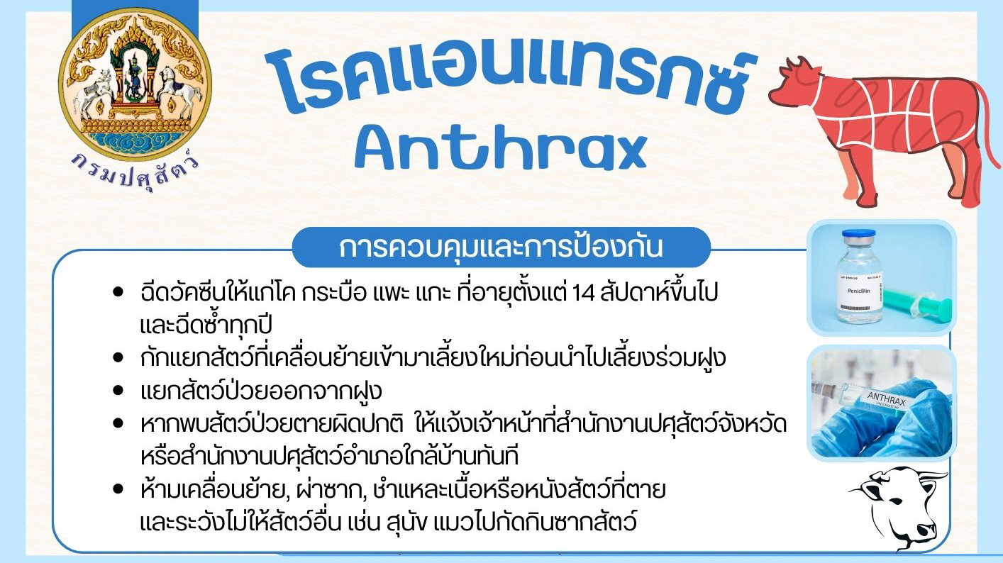 Sticker2